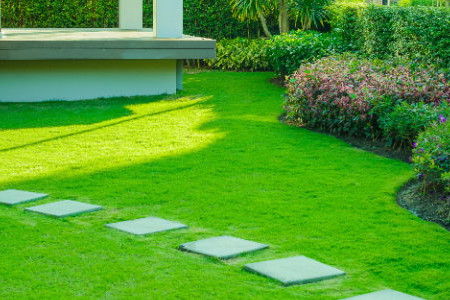 Lawn Landscaping Basics