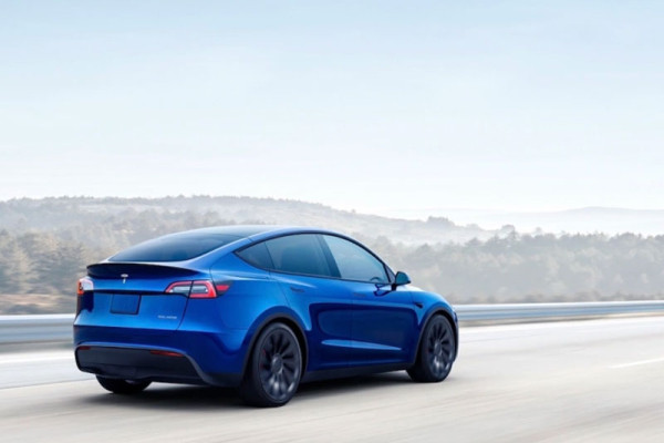 Elon Musk teases free Tesla FSD trial in North America