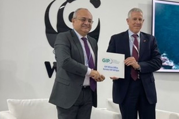 GIP Africa Chapter Launched at COP27