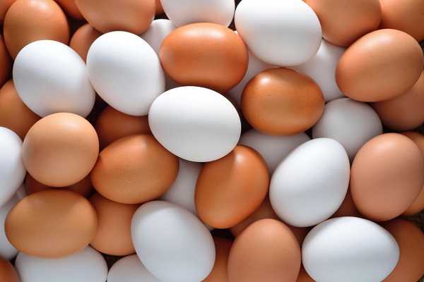 Ghana egg suppliers demand action over Burkina Faso export ban