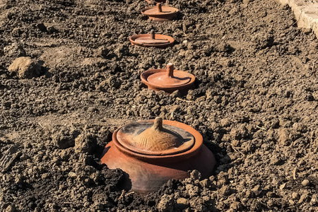 Low-Tech Clay Pot Irrigation