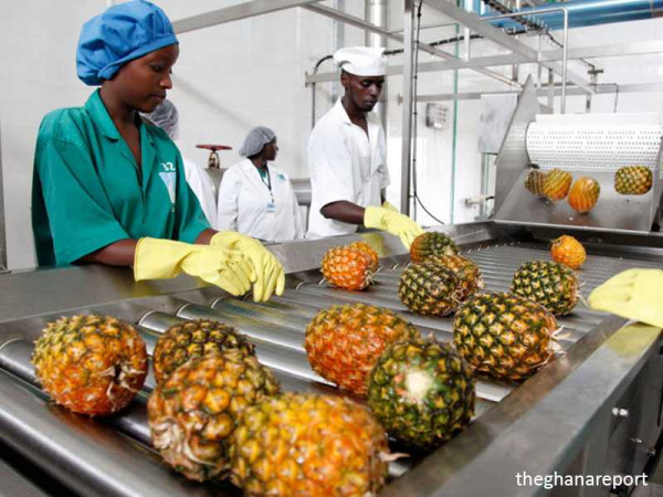 AGRO Processing: An Important Activity for Food Security