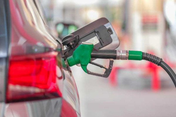 Brent Crude trading down 8.2 per cent at $82.66 per barrel amid US-announced talks with Iran