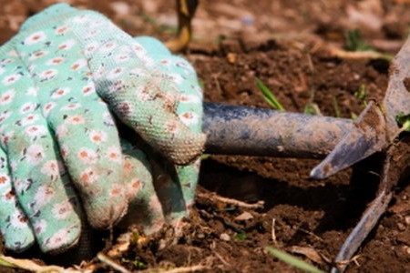 How to Fix Acidic Soil Organically