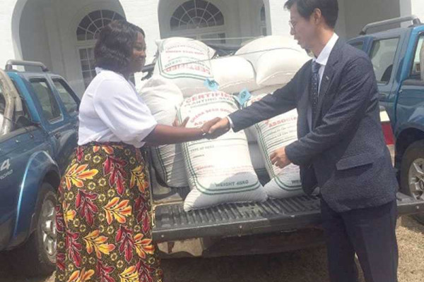 Central Region receives 2.5 tonnes seeds to boost rice production