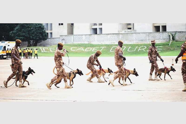 Prison Service sets up unit to train sniffer dogs