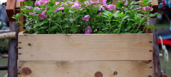 How to Build a Wooden Planter