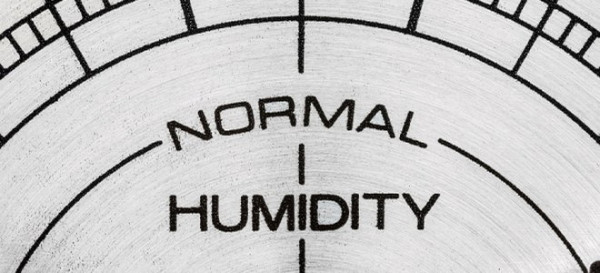 10 Ways Fluctuating Humidity Levels Can Damage Your Home and Belongings