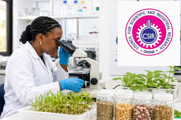 Bold science investment needed to cut Ghana’s food imports – CSIR