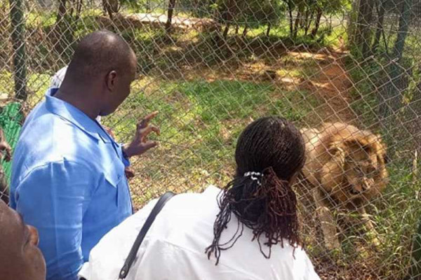 Accra Zoo reopens with improved security facilities