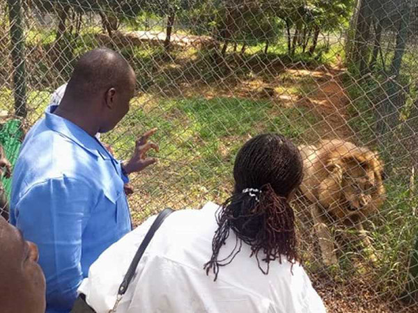 Accra Zoo reopens with improved security facilities