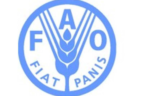 Food and Agriculture Organization (FAO) & African Risk Capacity advocate for women’s engagement ...