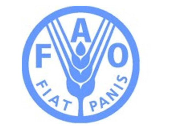 Food and Agriculture Organization (FAO) & African Risk Capacity advocate for women’s engagement ...