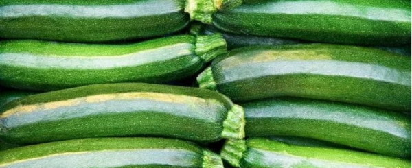 Grew Extra Zucchini? Here are 3 Delicious Recipes