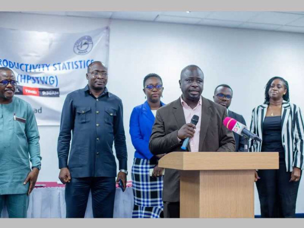 ILO, GSS inaugurates High-Level Productivity Statistics Technical Working Group