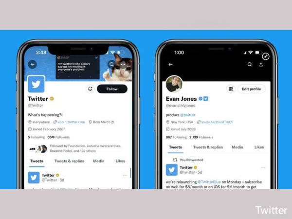 Twitter Blue for Business now allows companies to identify their employees