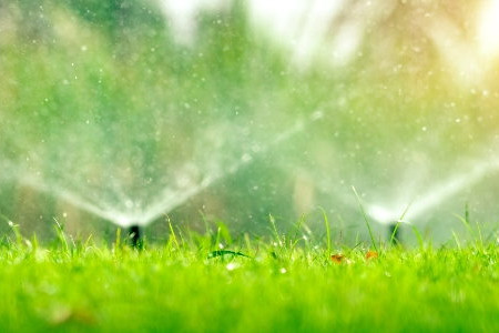 What Time To Run Your Sprinklers
