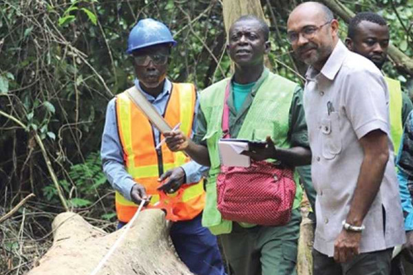 EU delegation visits Bobiri Forest Reserve ... To assess forest law enforcement