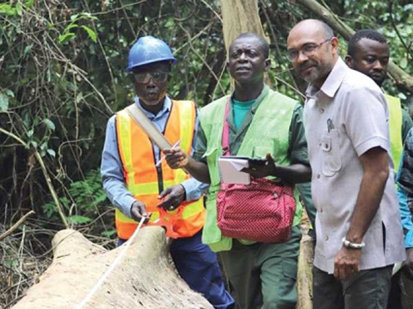 EU delegation visits Bobiri Forest Reserve ... To assess forest law enforcement