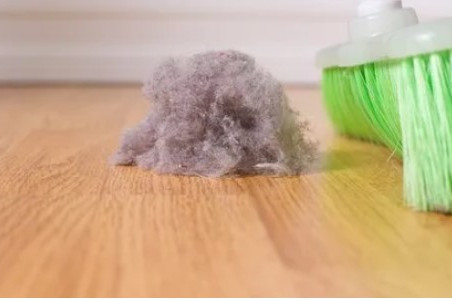 Combating Unwanted Holiday Guests: Dust Bunnies