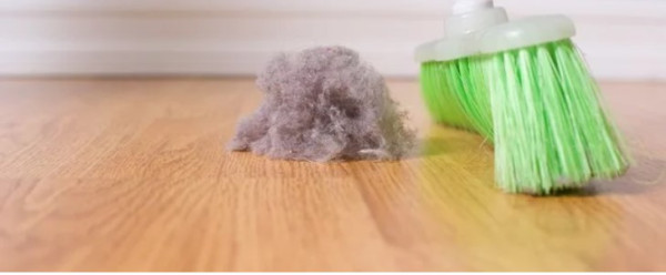 Combating Unwanted Holiday Guests: Dust Bunnies