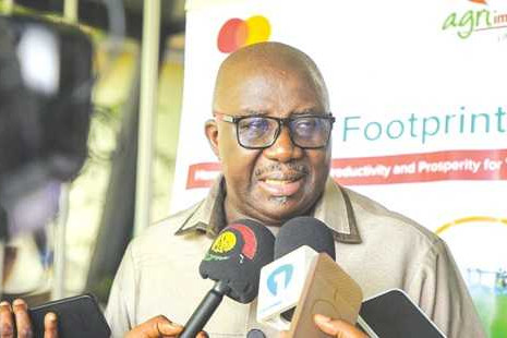 Work on investment-driven poultry master plan starts