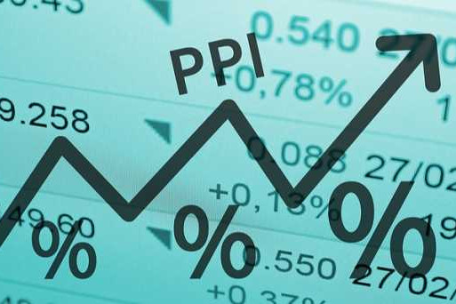 Mining, water supply and transport emerge biggest drivers of Producer Price Inflation