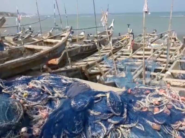 Fisheries sector in crisis, needs restoration – Fisheries Association Secretary