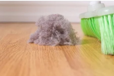 Combating Unwanted Holiday Guests: Dust Bunnies