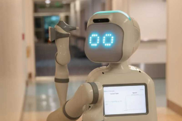      Robots available for rent: But what can they do?