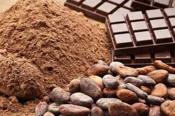 Government hints privatizing Cocoa Processing Company, 16 SOEs
