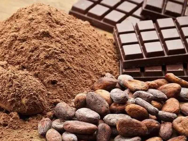 Government hints privatizing Cocoa Processing Company, 16 SOEs