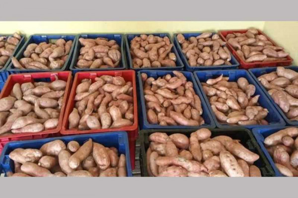 Government to support largest exporter of potatoes