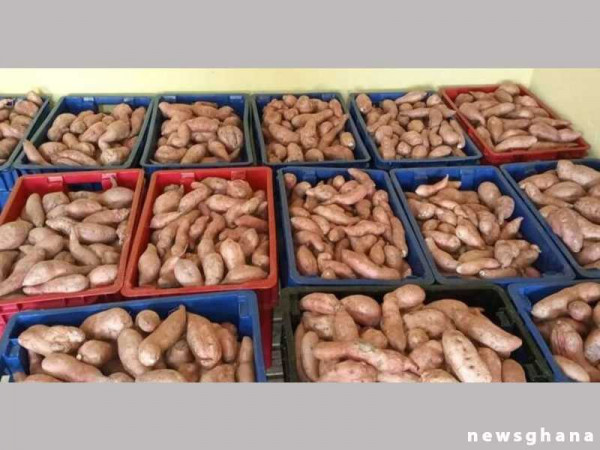 Government to support largest exporter of potatoes