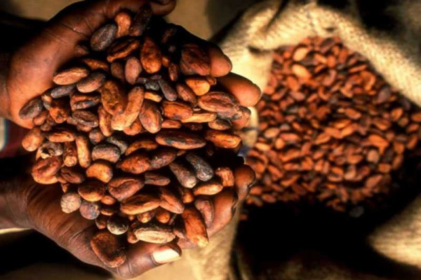 Ghana has not failed to secure a buyer for its 2020/21 cocoa beans – COCOBOD