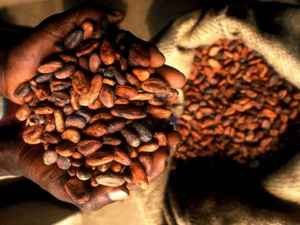 Ghana has not failed to secure a buyer for its 2020/21 cocoa beans – COCOBOD