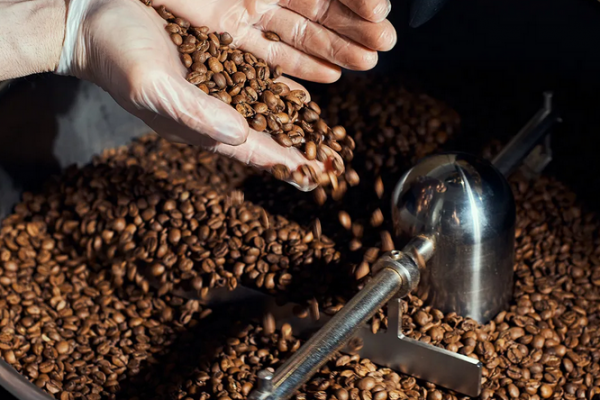 How Long Does Coffee Last? Ground, Brewed, Cold Brew, and More