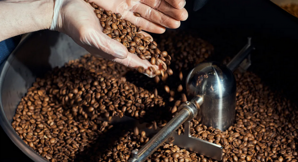 How Long Does Coffee Last? Ground, Brewed, Cold Brew, and More