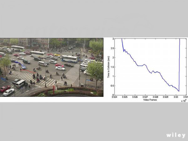 High rate of human and vehicular conflict on the road