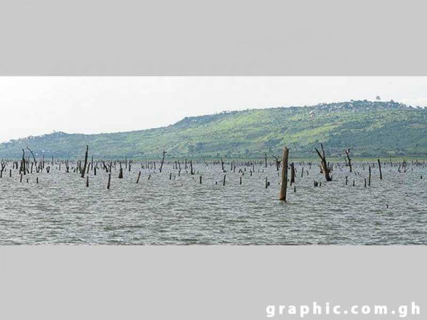 Over 21,000 tree stumps from on Volta Lake to improve navigation