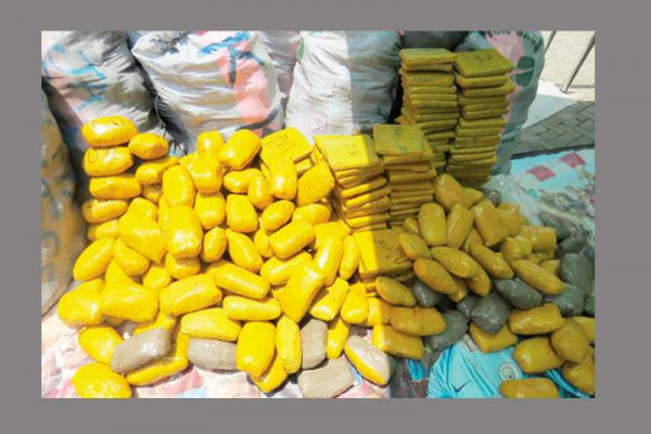 NACOC busts drug ring