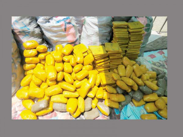 NACOC busts drug ring