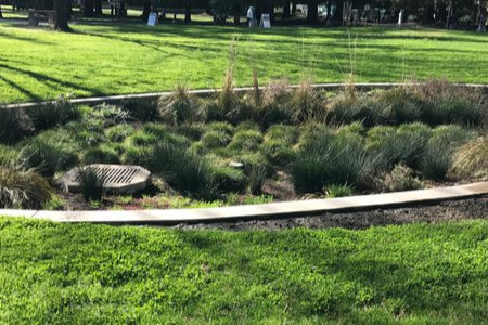 How to Make a Drainage Swale 