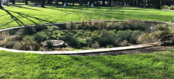 How to Make a Drainage Swale 