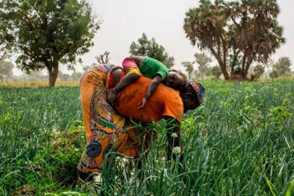 US injects $215m into Africa food security