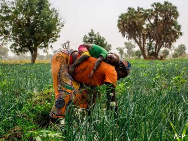 US injects $215m into Africa food security