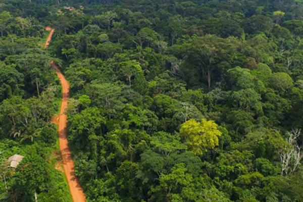 Ghana Institute of Foresters cautions against de-classification of Achimota Forest