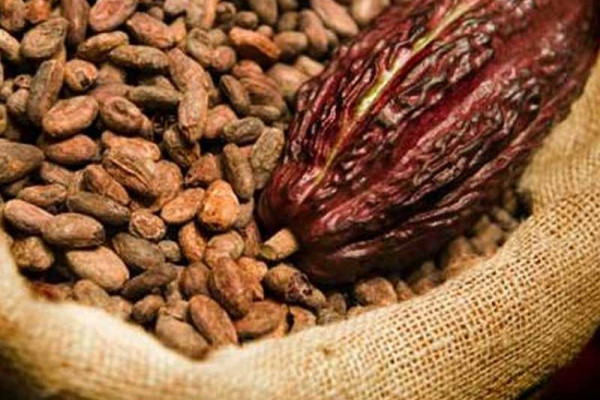 We’ve accounted for $1.3bn cocoa syndicated loan; ignore contrary claims – COCOBOD