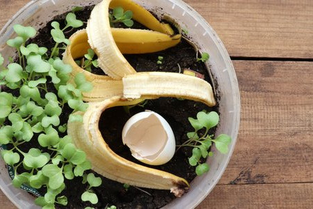 13 Best Ingredients for Homemade Fertilizer