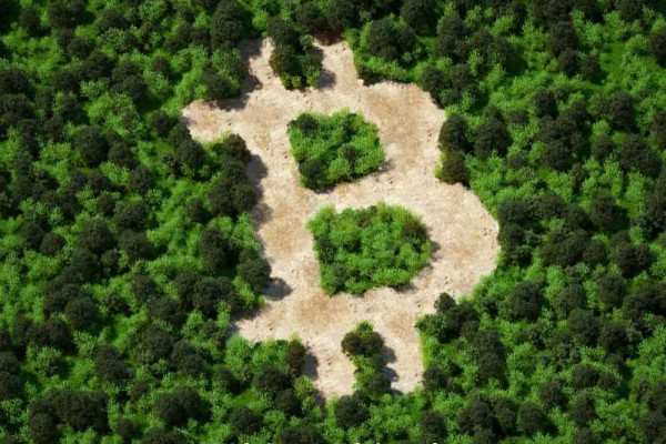 Green new era dawns for crypto with global mining shift